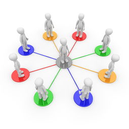 九游官网入口活动-体育社会组织自律机制与评估标准构建，体育社会组织的作用